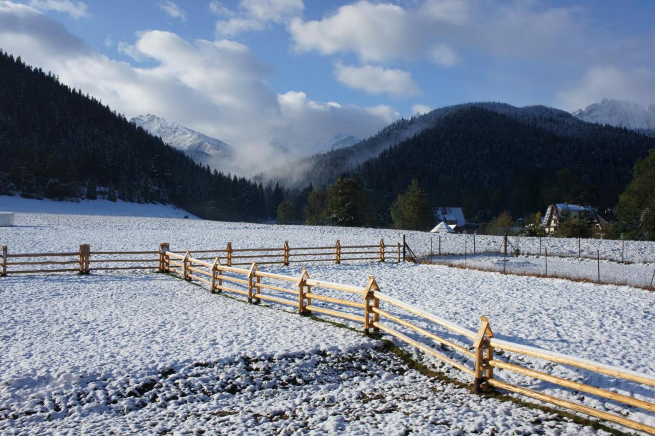 Willa Pod Nosalem III Zakopane Dış mekan fotoğraf