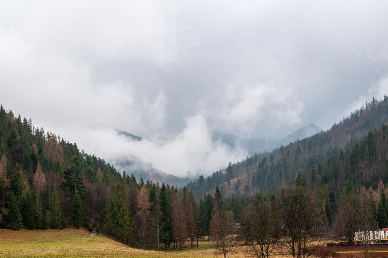 Willa Pod Nosalem III Zakopane Dış mekan fotoğraf